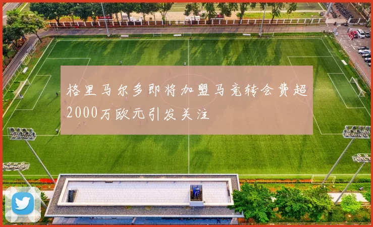 格里马尔多即将加盟马竞转会费超2000万欧元引发关注
