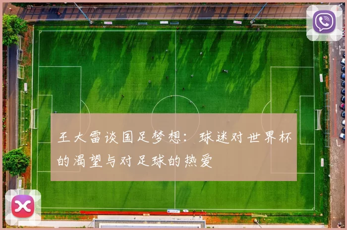 王大雷谈国足梦想：球迷对世界杯的渴望与对足球的热爱