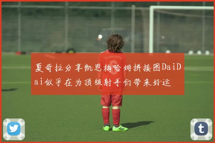 夏奇拉分享凯恩梅哈姆拼接图DaiDai似乎在为顶级射手们带来好运